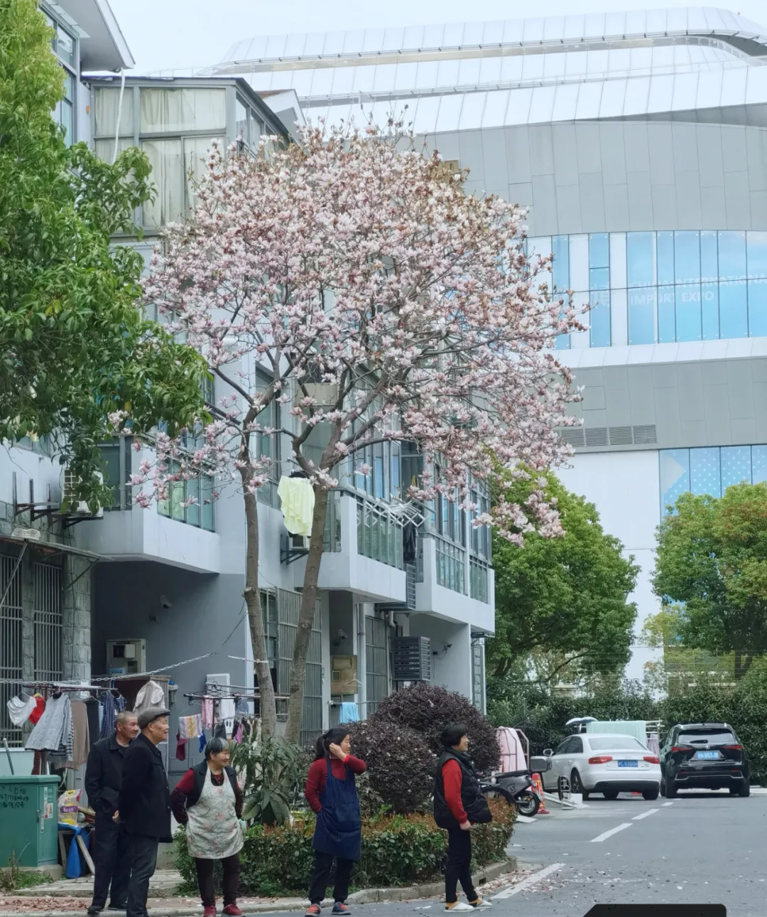 真没想到(海角社区绿意盎然妈妈生日)海角社区绿意盎然百度云,3月,我们收到了超过250个城市的春天故事,海角社区妈妈生日蛋糕制作,电影,插图1 真没想到(海角社区绿意盎然妈妈生日)海角社区绿意盎然百度云,3月,我们收到了超过250个城市的春天故事,海角社区妈妈生日蛋糕制作,电影,插图1