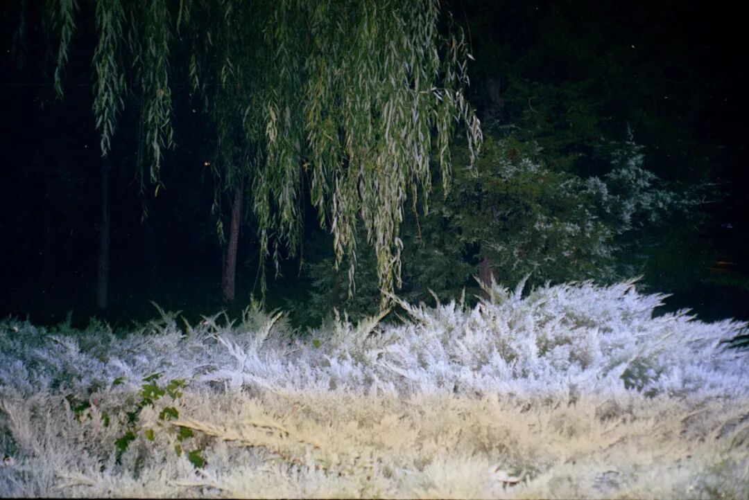 6000���ӡ���Ե���ݡ���22����������ҹ