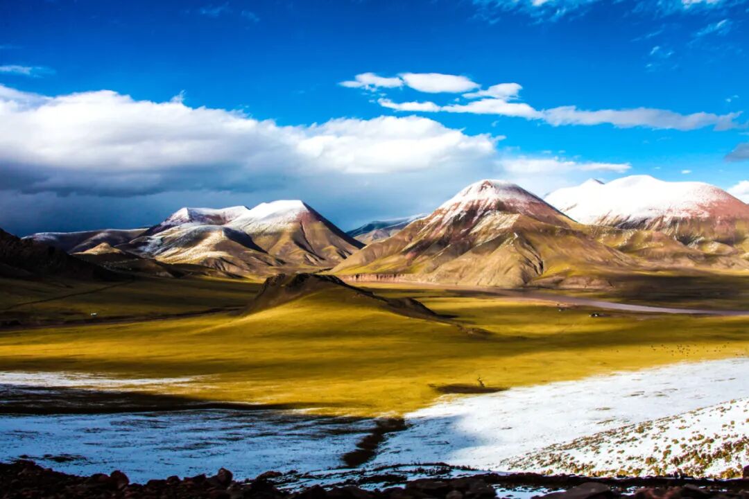 ���ڿɿ�����������Ѳɽ