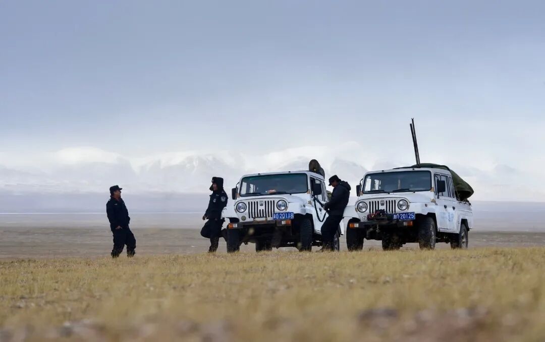 ���ڿɿ�����������Ѳɽ