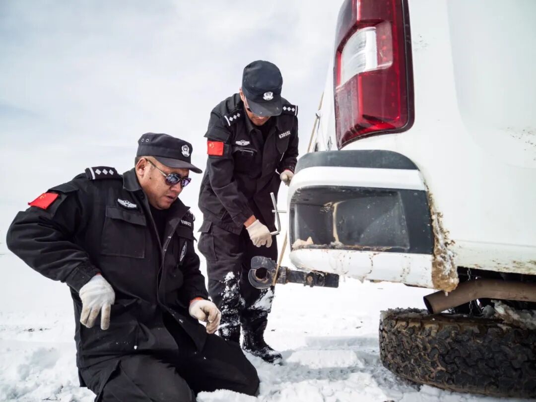 ���ڿɿ�����������Ѳɽ