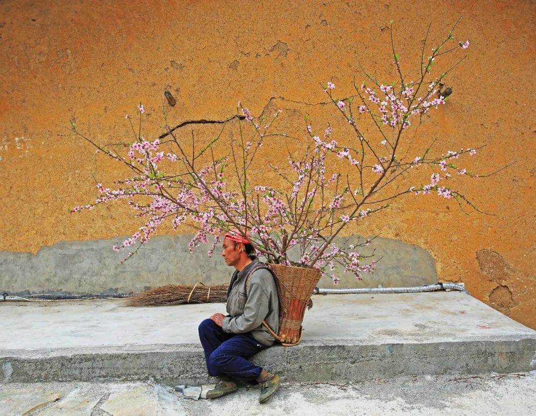 背上的桃花 水下的故乡 三峡30年 纳闻