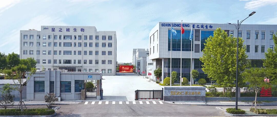 医用功能性敷料是什么多款功能性敷料／创新医美产品招商，源头厂家，专利产品，山东“专精特新”企业！_https://www.jmylbn.com_新闻资讯_第3张