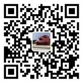 冷敷凝胶怎么退热普莱康【痔疮丨睡眠丨疼痛丨口腔爆品】厂家直招，承接OEM贴牌代工！_https://www.jmylbn.com_新闻资讯_第13张