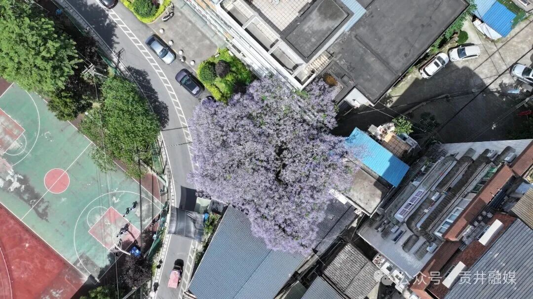 贡井体育场 (2).JPG