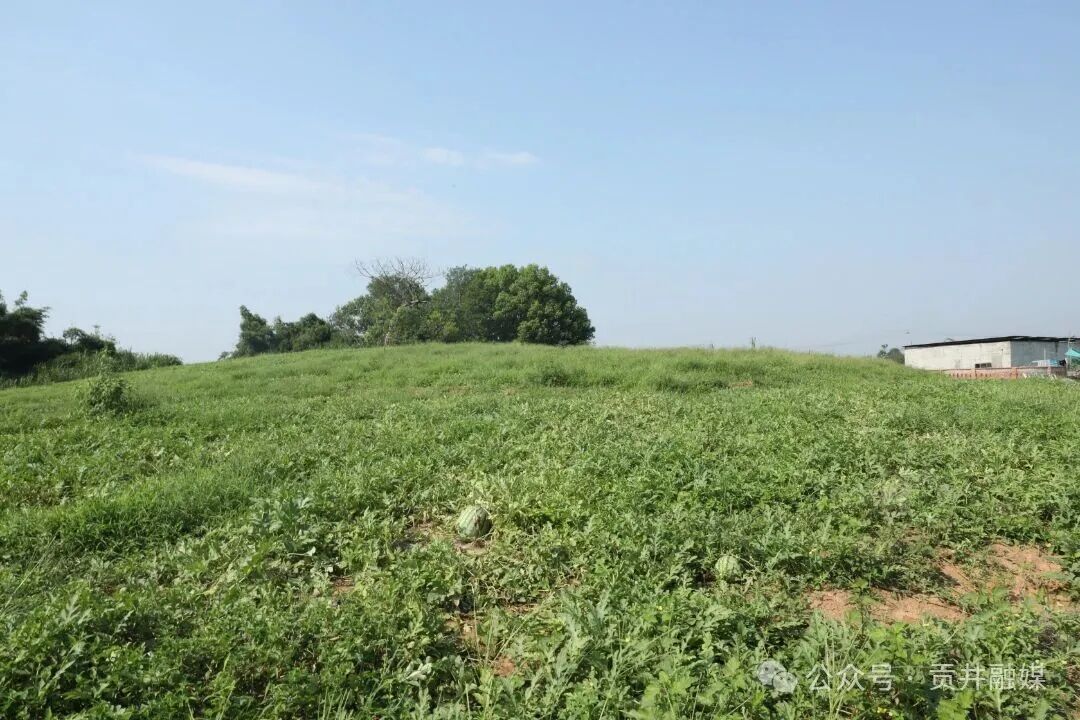 0P3A7884.JPG