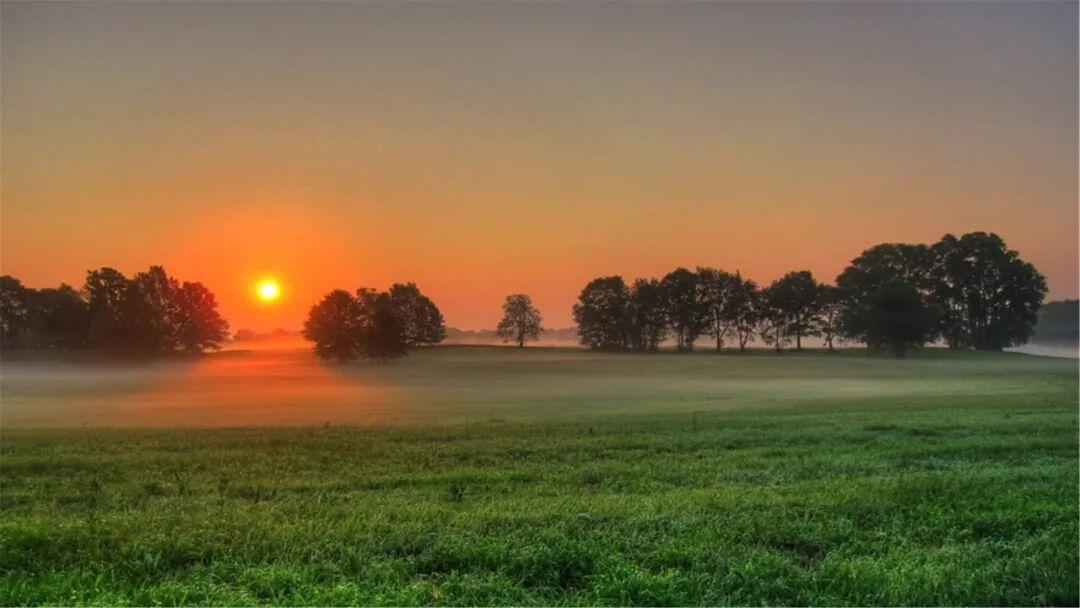 都市玄幻小说_都市玄幻言情完结小说排行榜_都市玄幻不种马小说