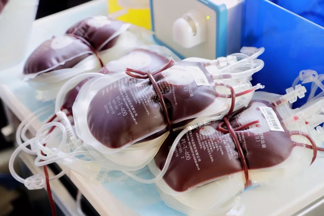 血同脉，爱同行 | 长青中国无偿献血公益活动圆满举行