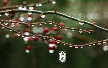 【健康】雨水養生，整年身體舒暢精神好！ 健康 第2張