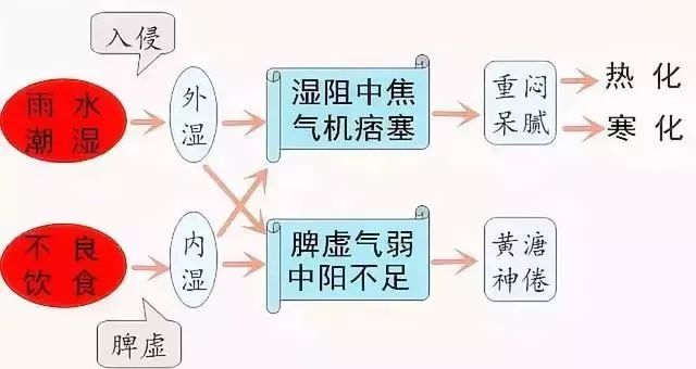 【健康】身上的這幾個症狀是濕氣在報警！ 健康 第2張