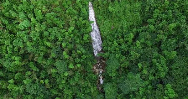 遂川縣白水仙風景名勝區