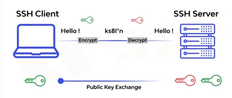 cover_image