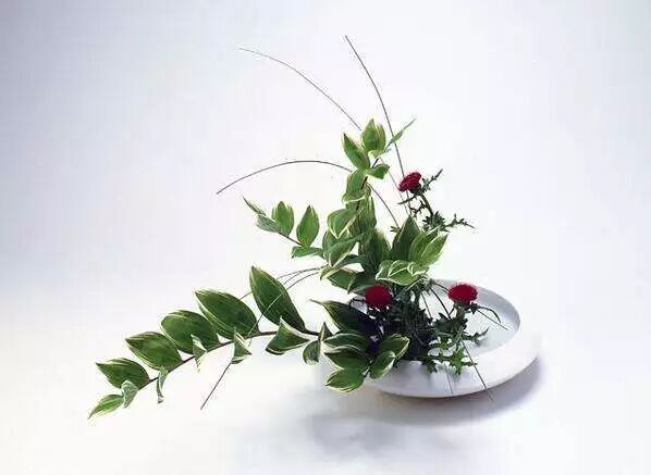 “插花”知多少？