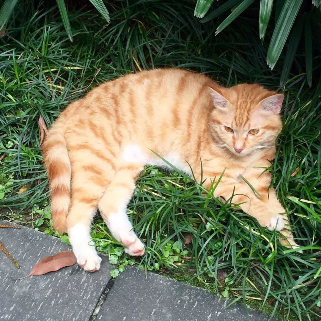 兰圃，偷得浮生半日闲