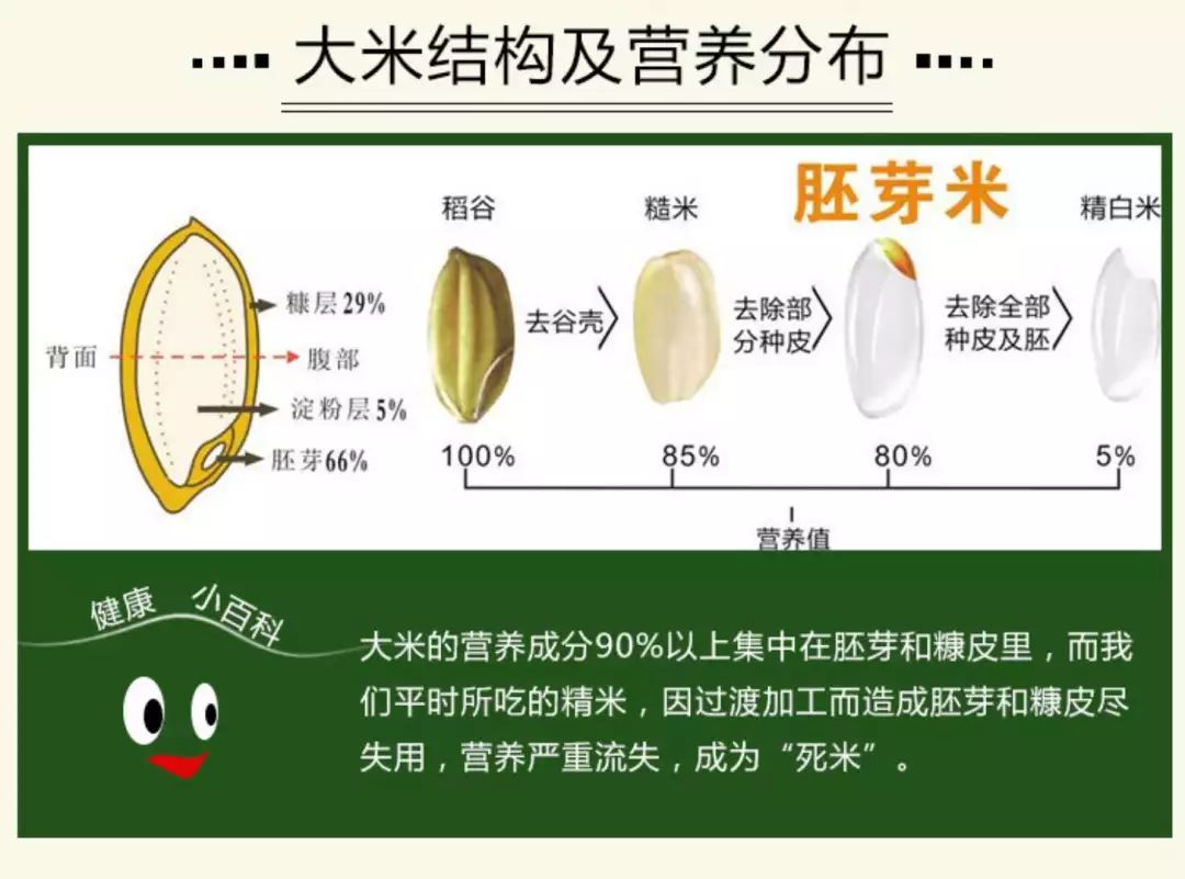 返璞归真 我们应该吃正确的大米 素林说 微信公众号文章阅读 Wemp