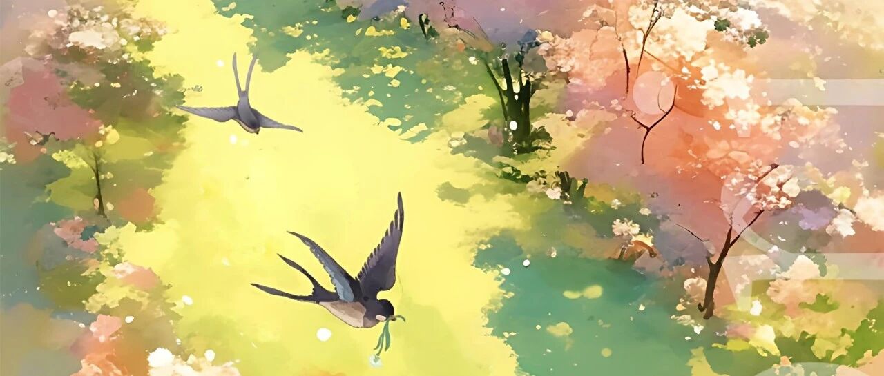 cover_image