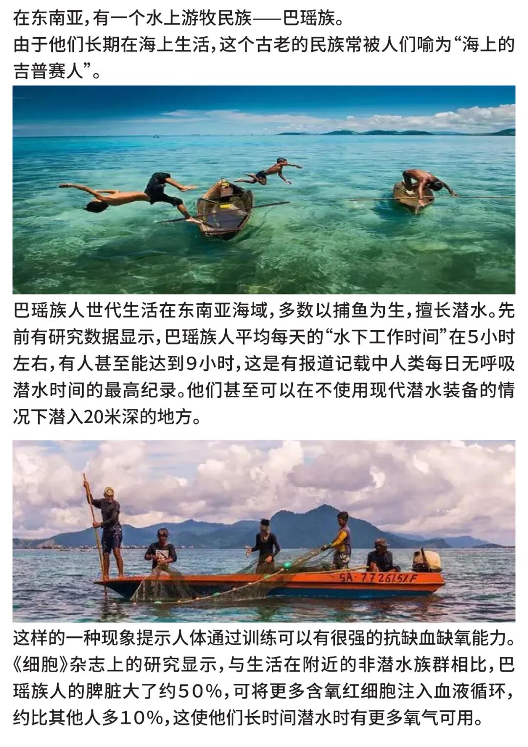 缺血适应训练仪怎么靠“锻炼”可以防治卒中？缺血预适应训练仪，小仪器聚焦国人心脑血管疾病防控大难题！_https://www.jmylbn.com_新闻资讯_第2张