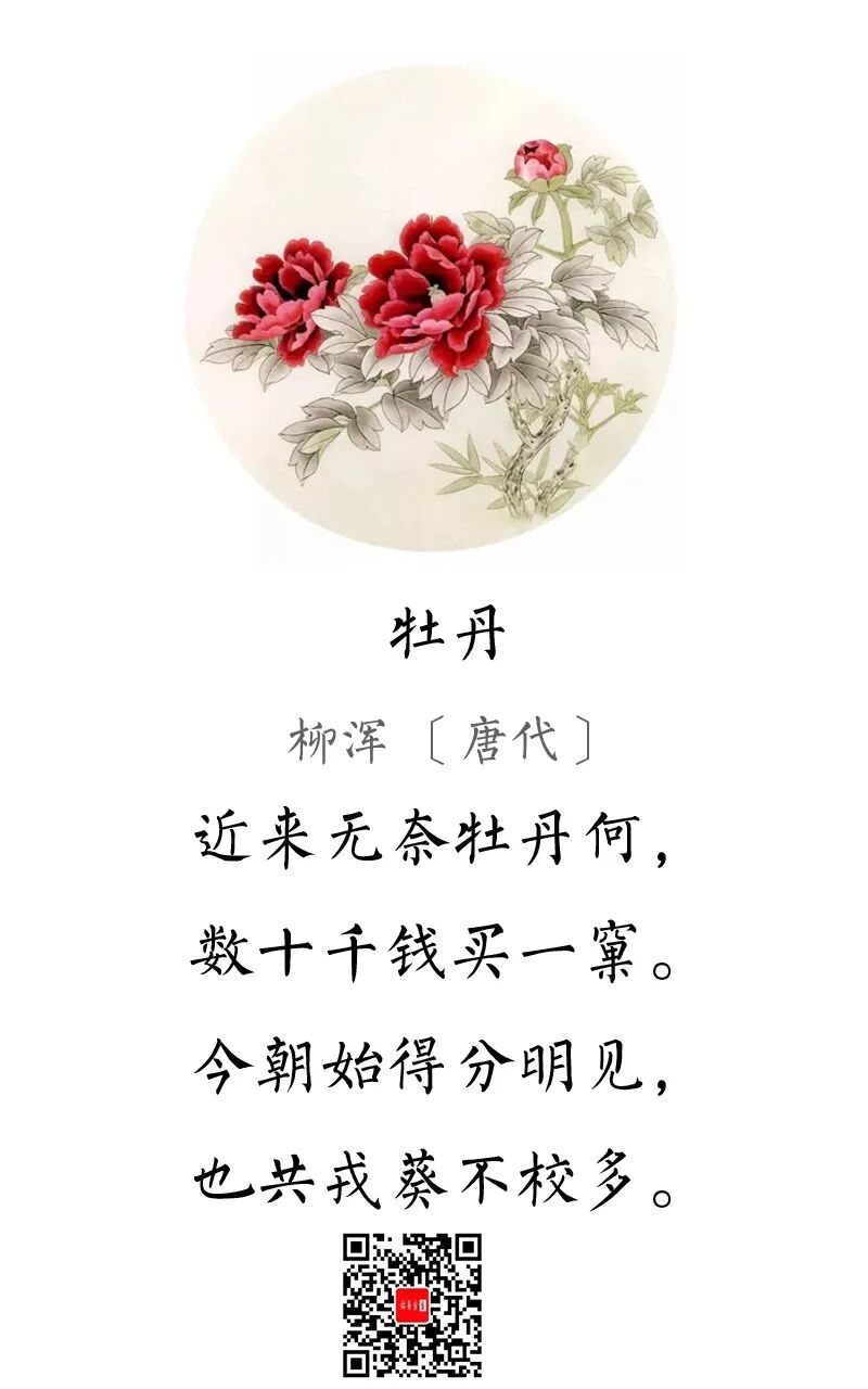一首诗_牡丹
