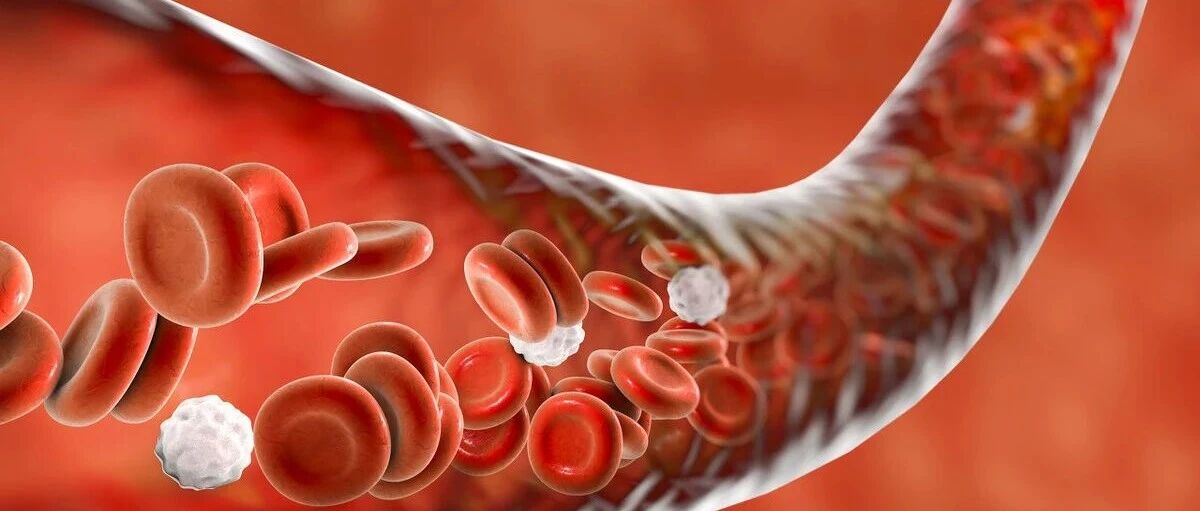 肾病贫血危害无穷，应对还需做好3步走，你达标了吗