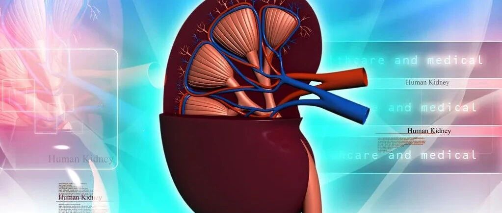 肾病好转的这些信号，你不了解，别误会你的病情