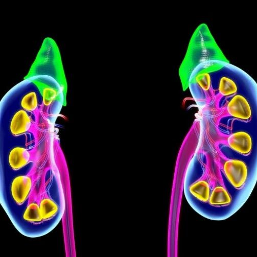 8种常见肾病的治疗目标，达到了尿毒症风险低