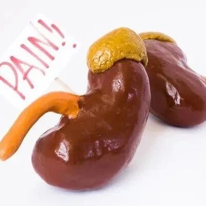 肌酐升高到200左右，肾功能还能坚持多少年？