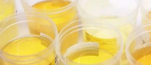 ​降尿蛋白快的药就是好药？答案可能恰恰相反