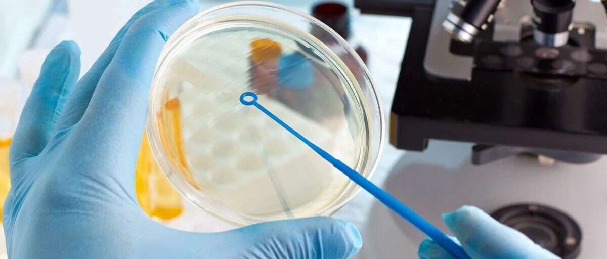 看不懂检查化验单，不知病情轻重？肾内科医生来帮忙