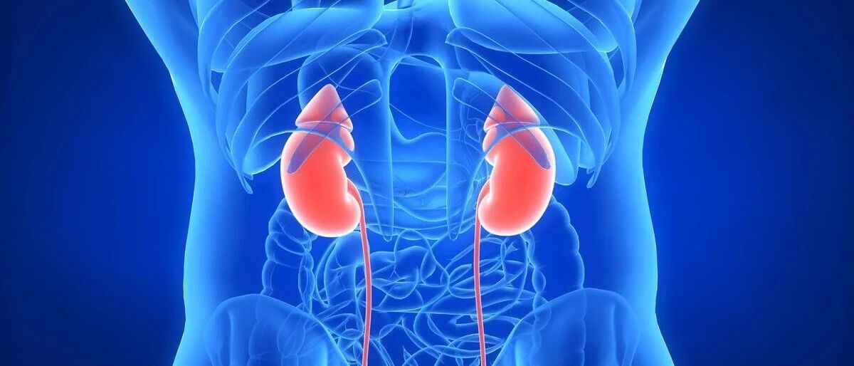 为何肾病久治不愈？肾内医生道出一点真相