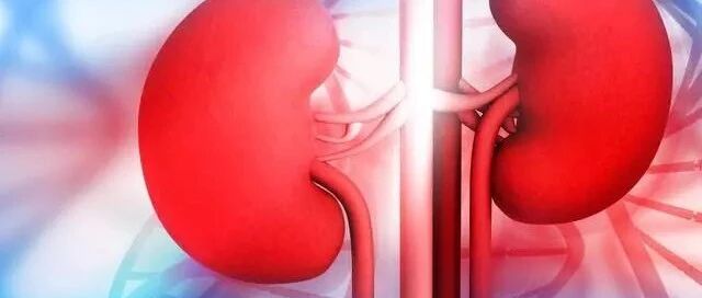 ​肾病延缓比治愈更重要？保全肾功能，2点方法非常实用