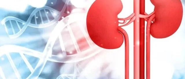 好消息！此类降压药还有降蛋白、降尿酸作用，对肾病终身有益