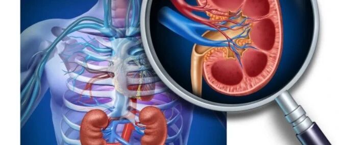 肾病预防肾衰竭，有2个关键时间点，一定要重视别错过