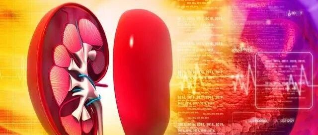 肾病会影响寿命吗？这6种肾病稳定住多数人活到老