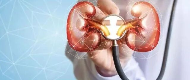 肾病可以发展很缓慢！有2件事要趁早做好