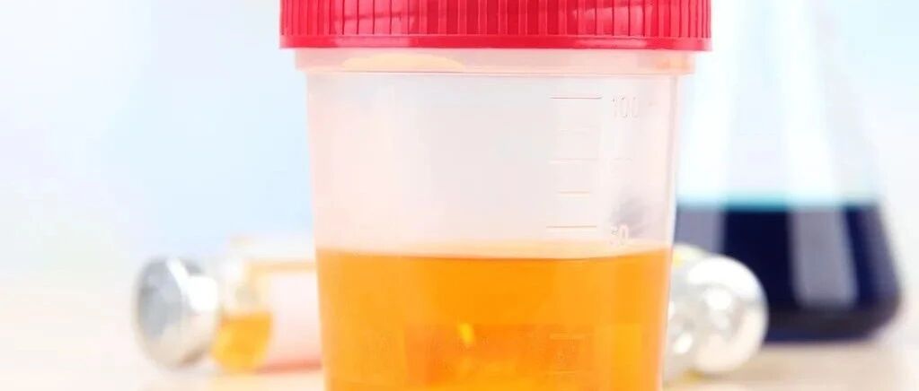 尿蛋白要长久稳定？教你做好2点攻略，显著降低尿毒症风险