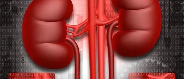 不想肾衰竭，做到“3少2多”，对肾脏更有保障