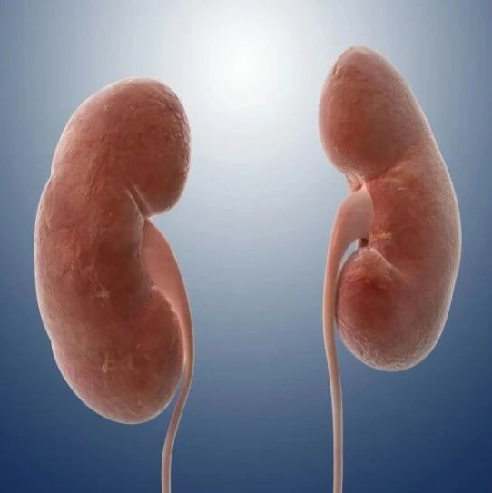 4类肾病尿毒症风险排名靠前！早规范诊治，或可阻止肾衰竭