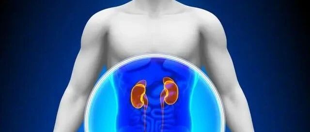 3类常见肾病有“自愈”机会！早重视2点不毒的概率更大