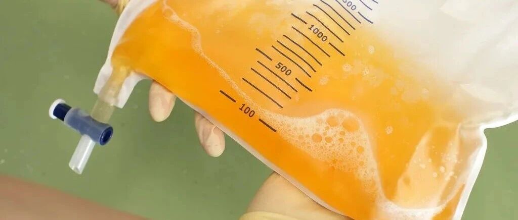 尿蛋白、水肿不好治？严格按四步走，肾功能会有所改观