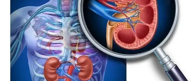 ​重视这4个方面，是避开尿毒症的关键！