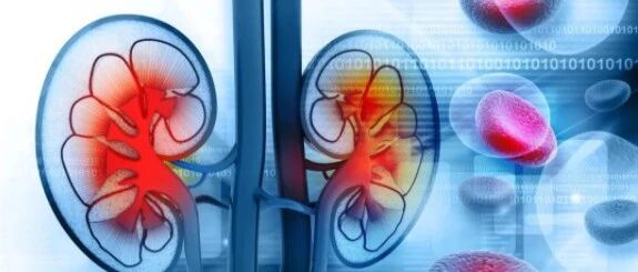 ​肾病总是反复怎么办？1个方法很有效，是保护肾功能的“利器”