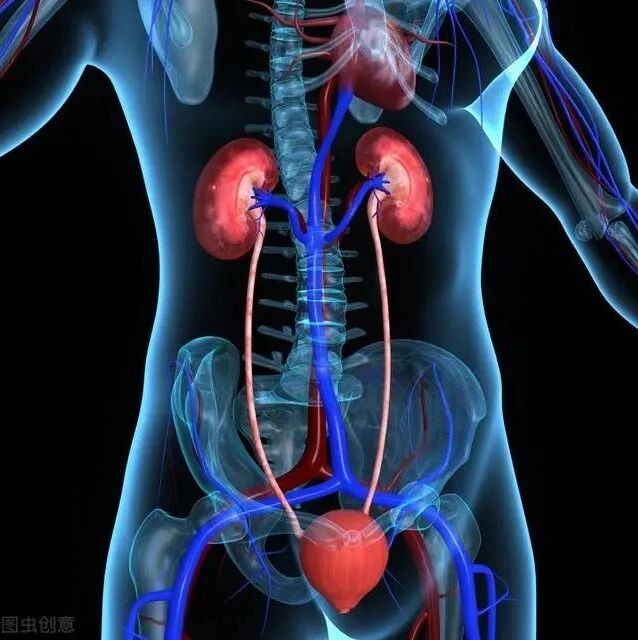 肾病降蛋白记住“1扫2多3控”，更事半功倍