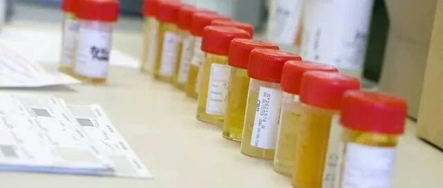 ​尿蛋白反复加重？重视1点，不用换药也能迅速降下来