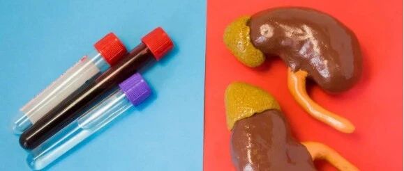 ​肌酐降到多少不易尿毒症？给你4条降肌酐的干货建议