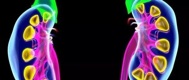 ​肾病到尿毒症说远不远，不到肾衰竭的肾友，大多掌握了3种方法