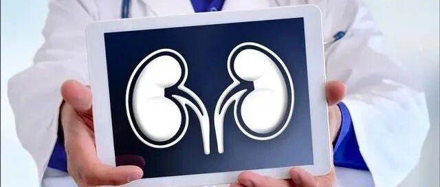 久治不愈的肾病还有机会好转吗？真相是2个原因在作怪