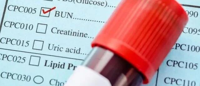 仅1个月肌酐就涨到300多，还能降下来吗？