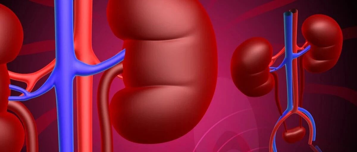 肌酐400+还能降下来吗？延缓肾衰竭需“3步走”