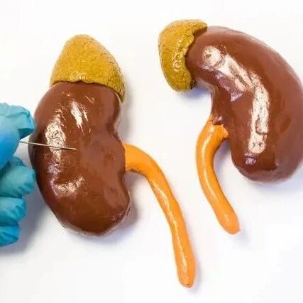 肾病预防尿毒症？肌酐降得快，不如做好这3件事更有效