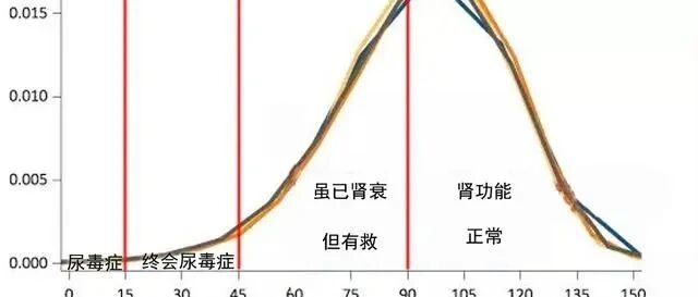 ​肌酐高了，一定会进展为尿毒症？看了再下结论